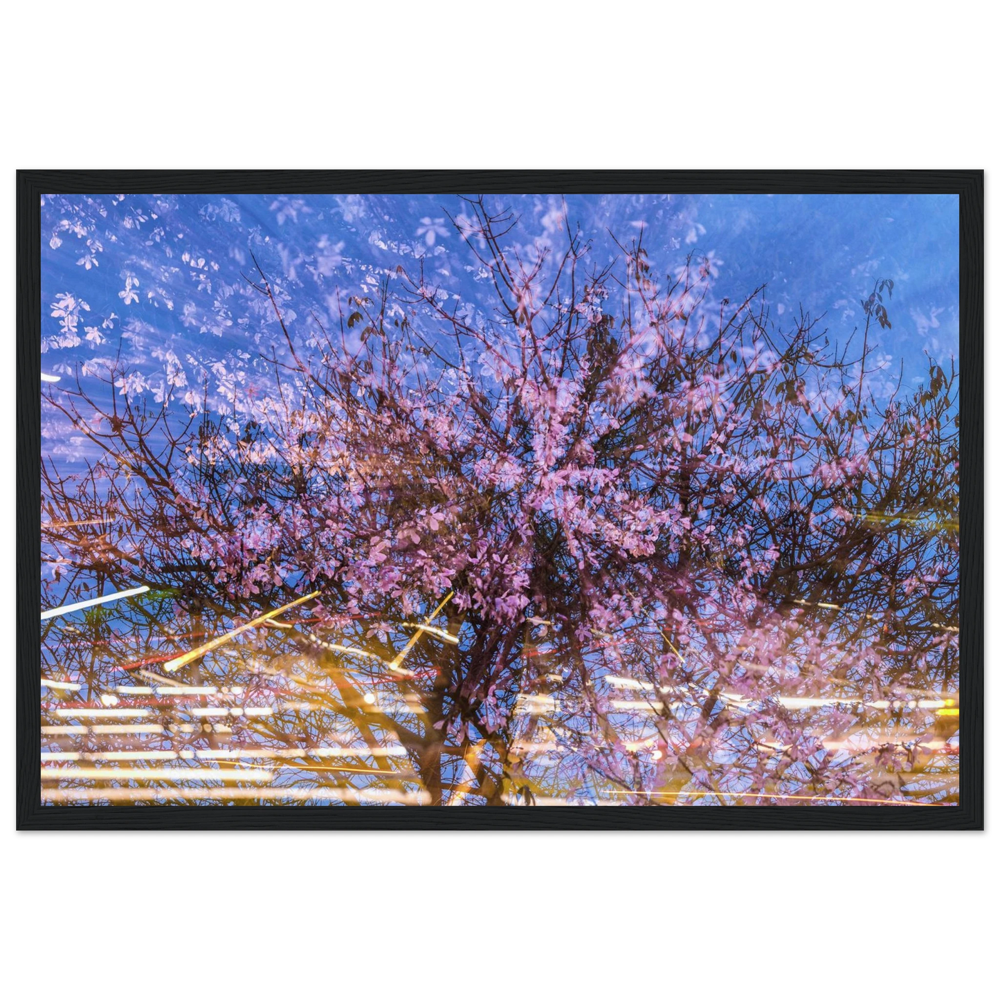 075c2708-b04c-4b23-a4f2-86f5c5caec39