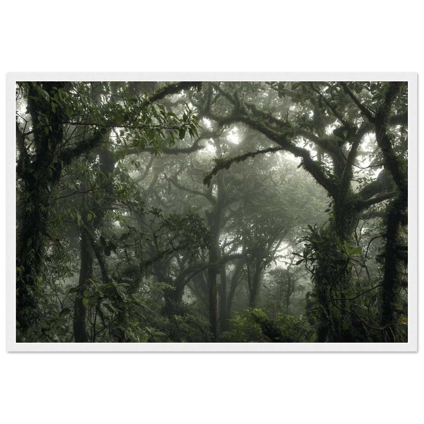 0cf2cb06-e029-4a15-8a01-17c531316e5f