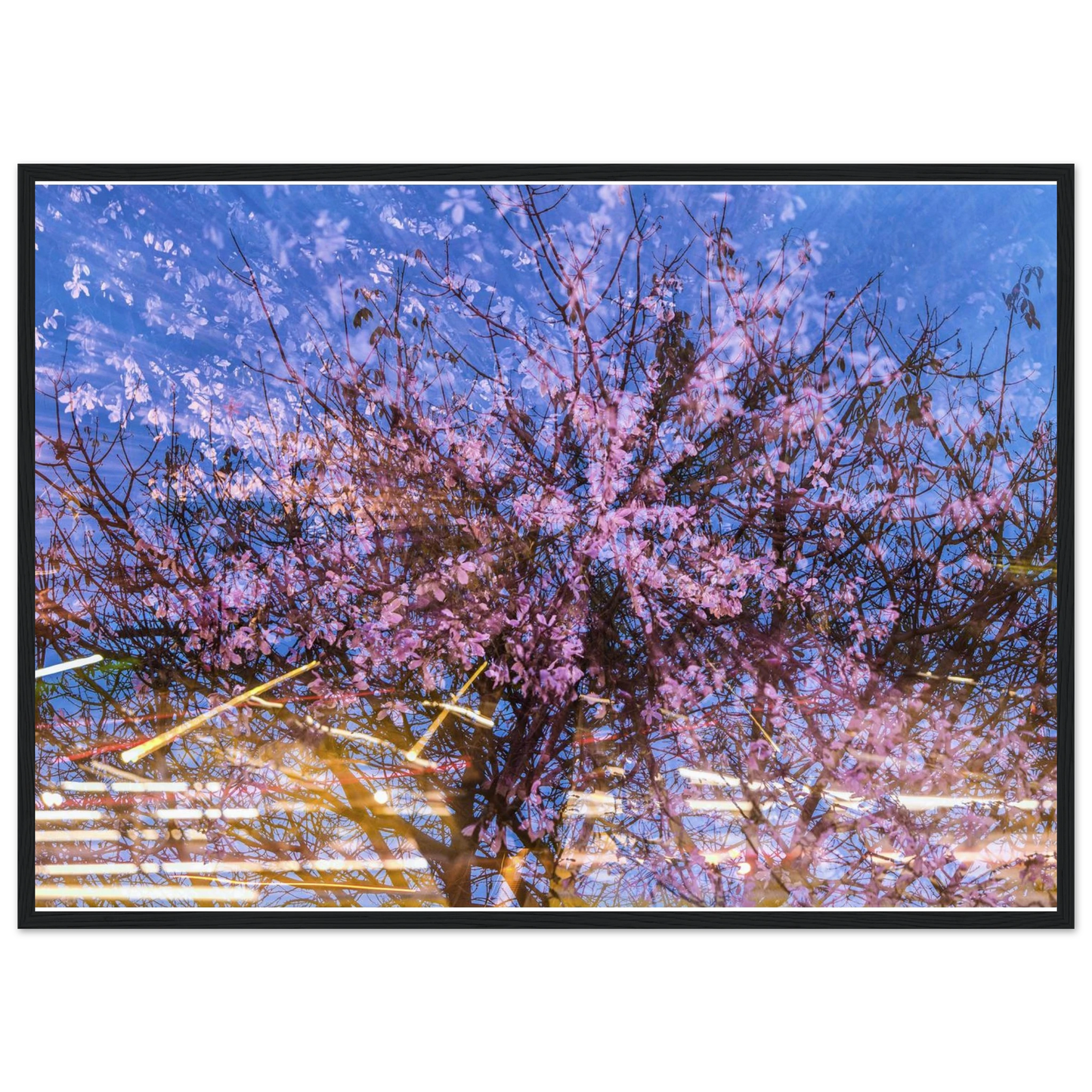 ae90f323-1b61-4888-9fcf-ceb0a30b251f