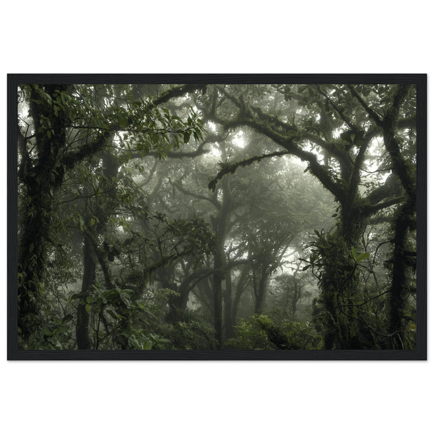 c6b34981-8b4a-4098-b54f-939f75bcae1b