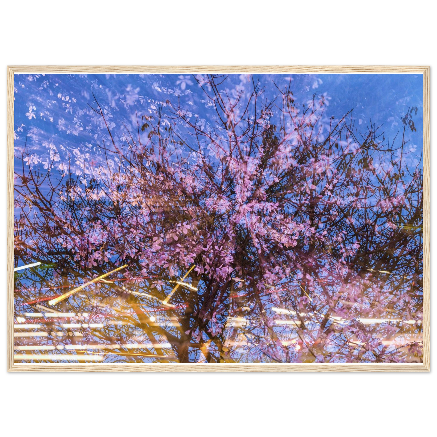 c6b93277-0cf3-4a3e-9475-6f02ae800281
