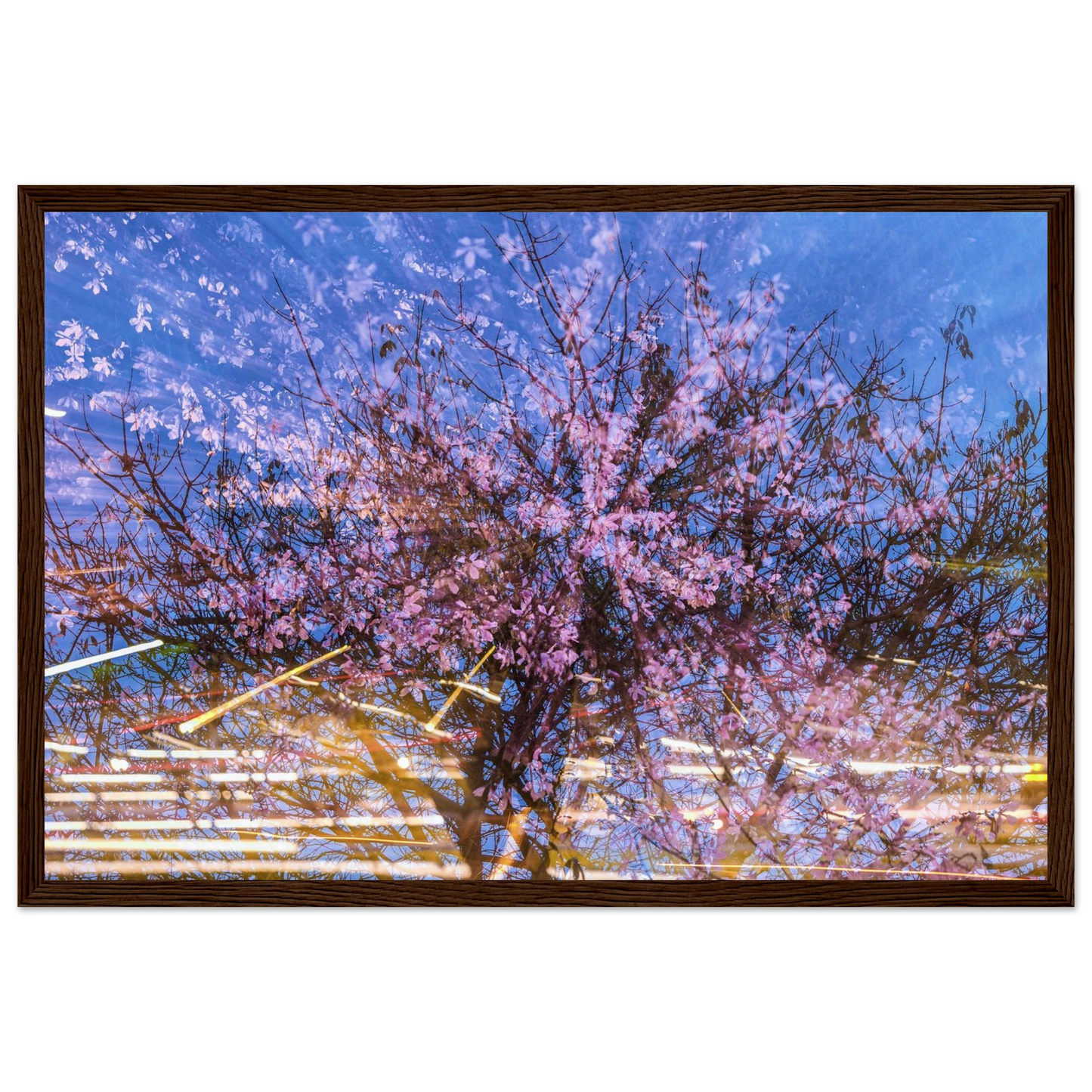 d80dd62a-900b-4d48-b6ab-534598b4723a