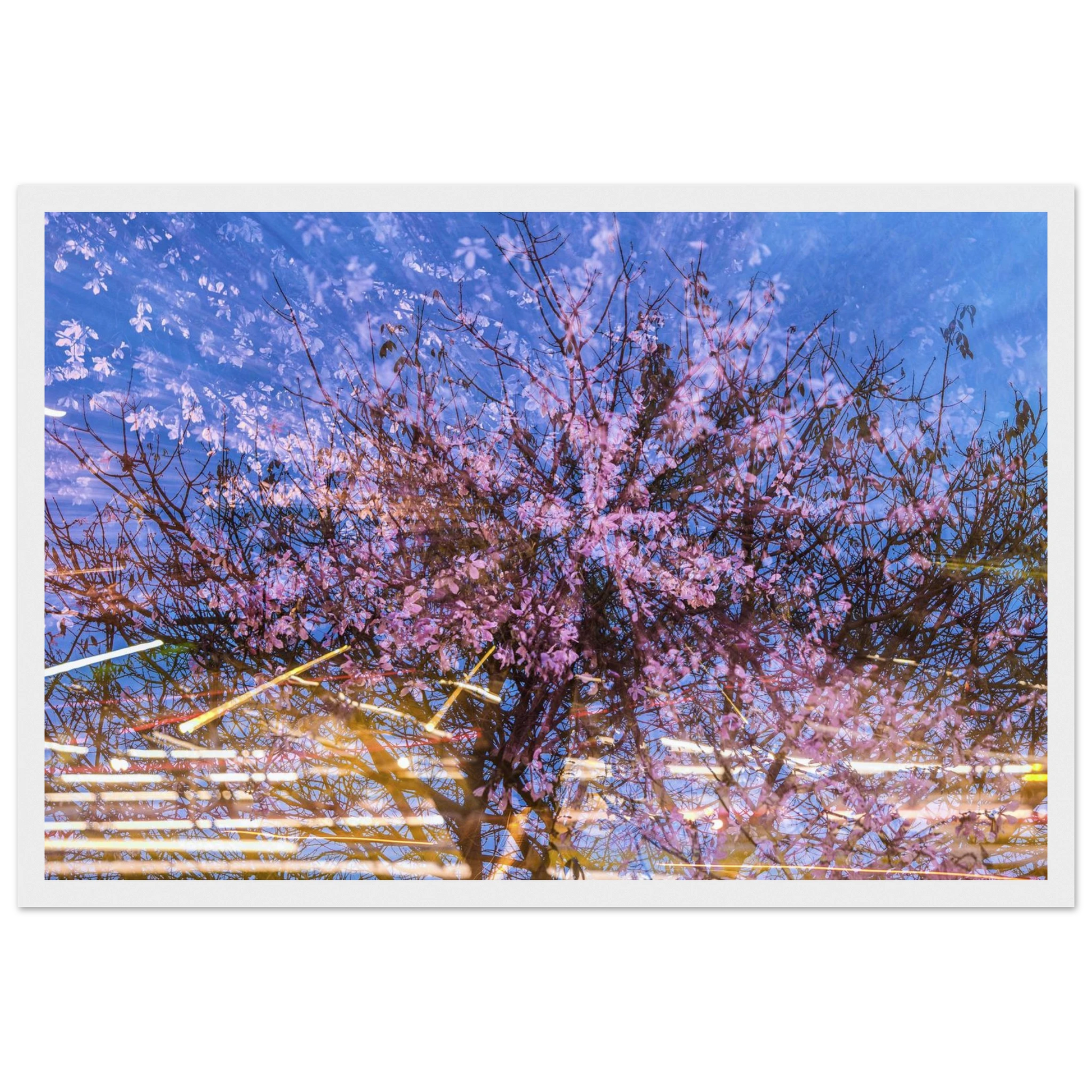 218bc7e3-b6a1-4759-96dc-02c323676a95