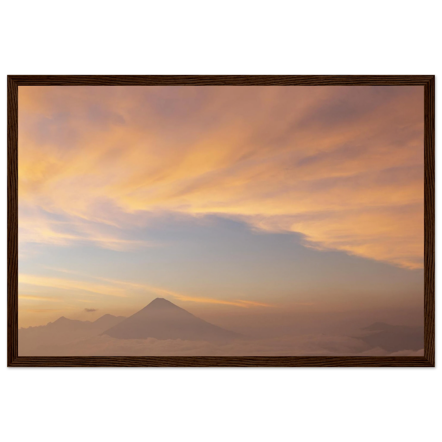 31c2f89e-24a8-491d-a69f-418b496cda98