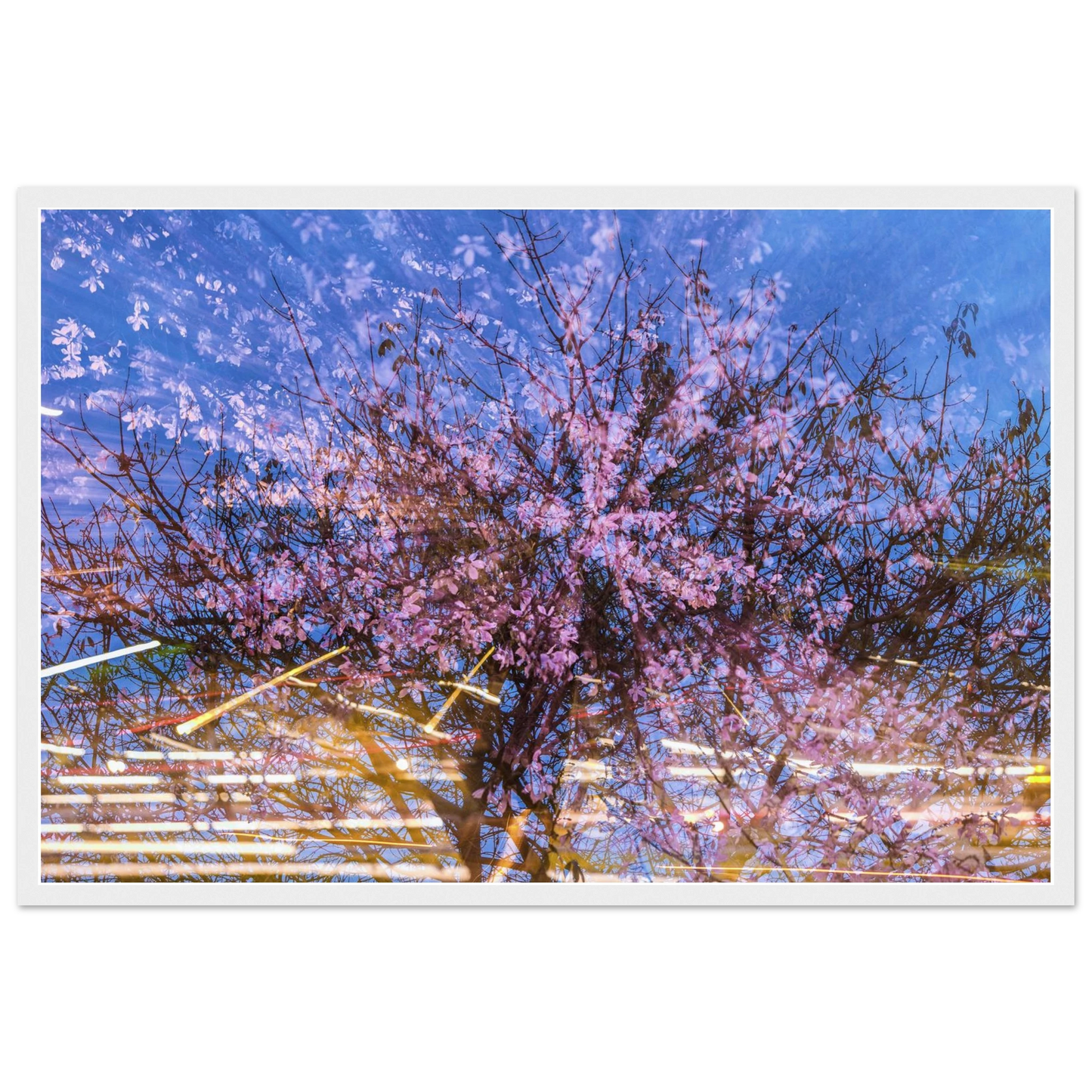32404351-3659-4bf3-aede-0dc60d929609