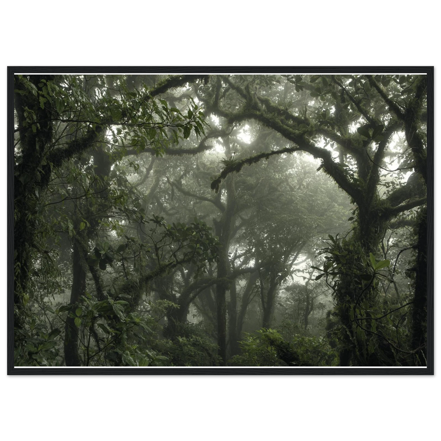 3ff93043-c845-44f4-95b5-340c78cd328c
